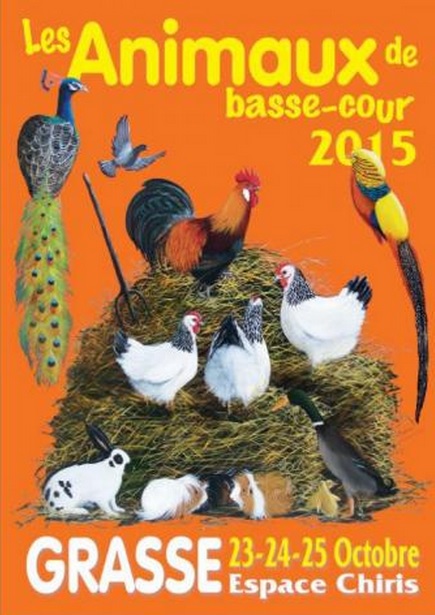 Basse Cour Grasse 2015